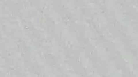 Gissy online show from April 2026 11:53:01 AM