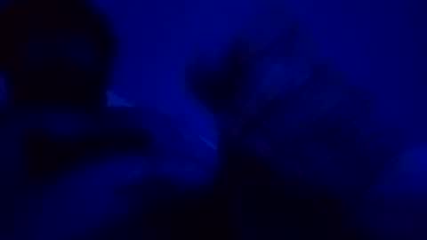 elen06 online show from December 2025 09:08:02 PM