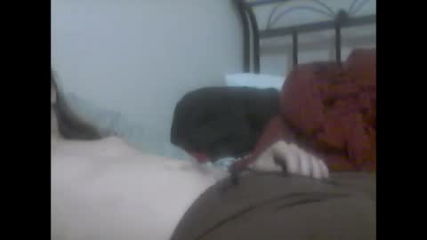 glitchingglob online show from January 2025 03:17:02 AM