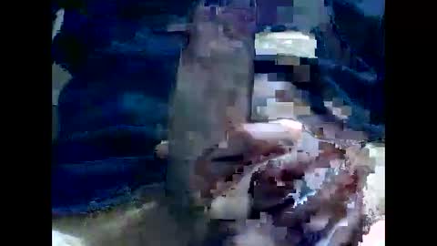 Snapshot of gmjavenger chatting on December 2024 08:30:01 AM PencilDick online show from December 2024 08:30:01 AM