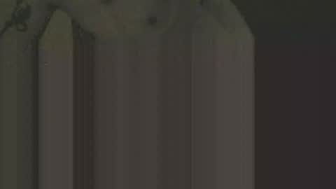 Snapshot of gnz310388 chatting on February 2026 01:11:02 AM gnz310388 online show from February 2026 01:11:02 AM