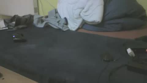 Snapshot of gnz310388 chatting on February 2026 02:56:01 AM gnz310388 online show from February 2026 02:56:01 AM