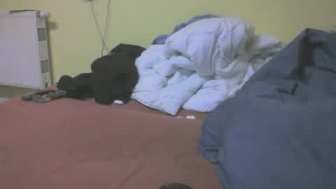 Snapshot of gnz310388 chatting on March 2026 07:20:02 PM gnz310388 online show from March 2026 07:20:02 PM