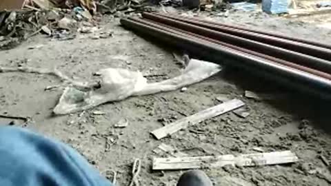 goal420 online show from November 2025 01:50:01 PM