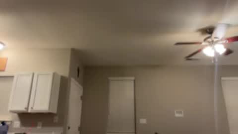 Princess Miila  BBC Daddy online show from January 2025 10:24:02 AM