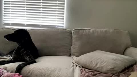 Snapshot of goddessmayvn chatting on May 2026 03:41:01 PM GoddessMayvn online show from May 2026 03:41:01 PM