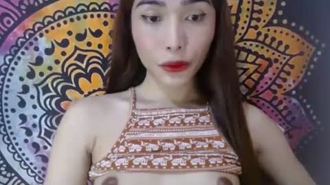 Caulix online show from December 2024 08:48:01 AM