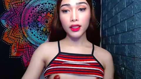 Caulix online show from January 2025 12:52:02 PM