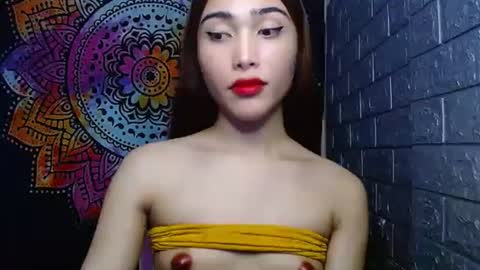 Caulix online show from January 2025 06:12:02 PM