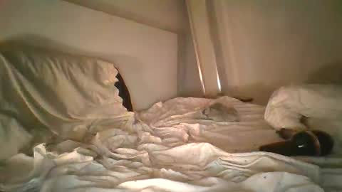 Snapshot of godonsin chatting on December 2024 07:50:02 AM godonsin online show from December 2024 07:50:02 AM