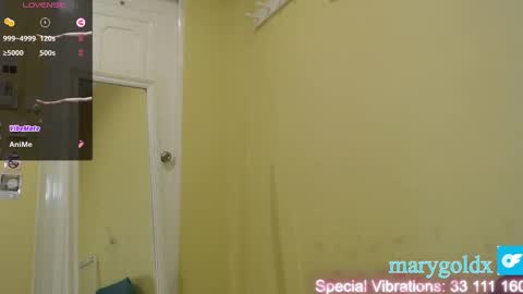 Snapshot of gold_mary_ chatting on January 2025 11:34:01 AM Mary online show from January 2025 11:34:01 AM