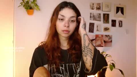 Alaska online show from October 2025 11:56:02 AM