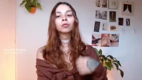 Alaska online show from November 2025 11:54:01 AM