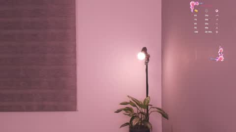 Snapshot of gorgeous_brunette chatting on May 2026 06:31:02 AM Rose online show from May 2026 06:31:02 AM