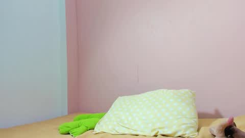 Mi Name is violeta  online show from December 2024 08:45:02 PM