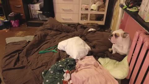 Snapshot of graylovescookies chatting on December 2024 03:03:01 PM graylovescookies online show from December 2024 03:03:01 PM