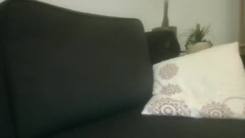 Snapshot of greatdick25700 chatting on September 2025 08:19:01 PM greatdick25700 online show from September 2025 08:19:01 PM