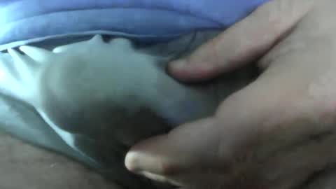 gr8head online show from June 2026 09:47:01 AM