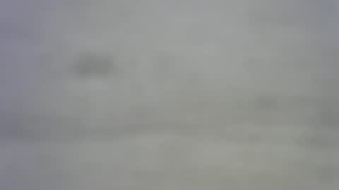 greekmeal1234 online show from February 2025 08:09:02 PM