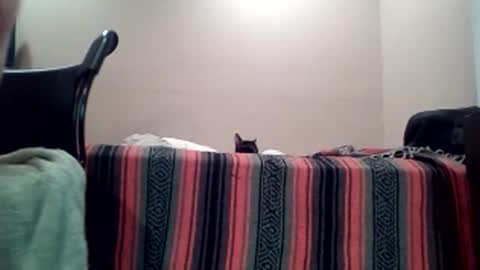 Jack online show from April 2026 07:45:01 AM