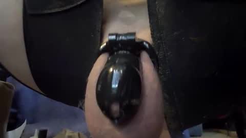 electrogee1 online show from February 2026 11:53:02 PM