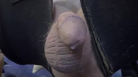 electrogee1 online show from February 2026 12:28:01 AM