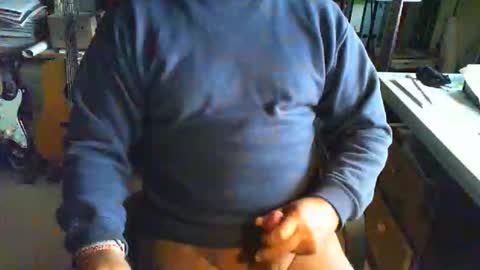 greyhounddog online show from September 2025 07:55:02 AM