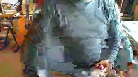 greyhounddog online show from October 2025 08:47:01 AM