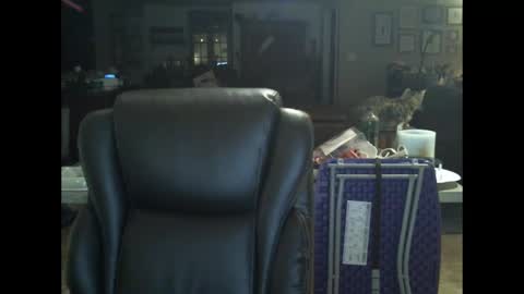 David online show from December 2024 01:11:02 PM