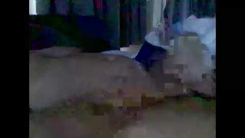 Snapshot of grittslappa chatting on May 2026 01:55:01 AM grittslappa online show from May 2026 01:55:01 AM