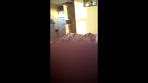 grizzely1975 online show from November 2025 02:06:02 PM