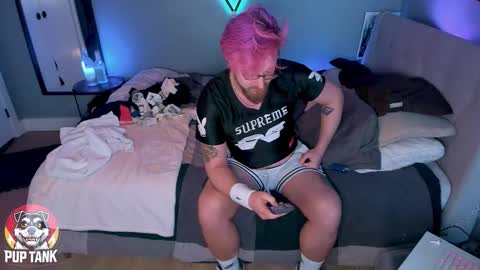 Alpha pup online show from November 2025 10:21:01 PM