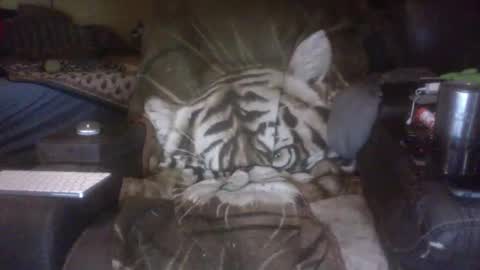 grtlakesman online show from June 2026 01:28:02 AM