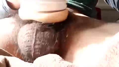 guapopapi88 online show from January 2025 08:57:02 PM