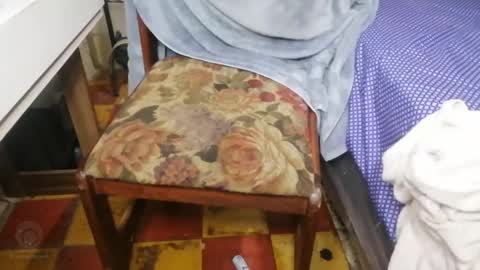 guatemangt online show from March 2025 04:19:01 AM