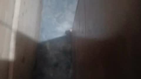 Snapshot of guidogomezcag chatting on July 2026 05:48:02 AM guidogomezcag online show from July 2026 05:48:02 AM
