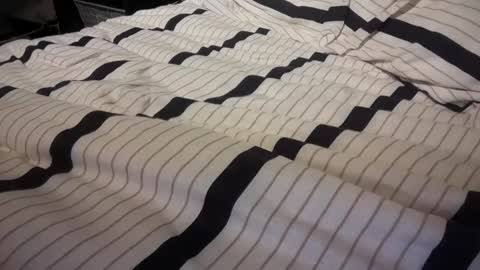 gumbywanna online show from January 2025 01:08:01 AM