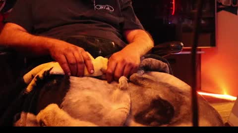 h0tttsteel online show from December 2024 01:12:02 PM