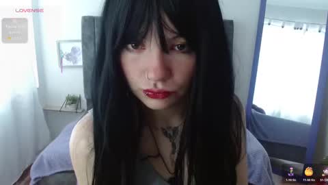 Hadde online show from November 2025 12:37:01 PM