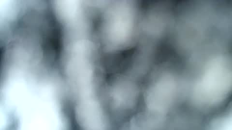 Snapshot of haileyblonde chatting on January 2025 12:53:01 AM tatted blonde online show from January 2025 12:53:01 AM