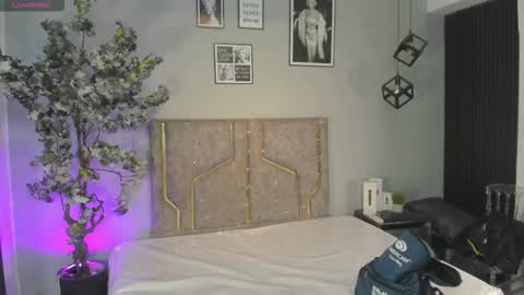 haileystonei online show from December 2025 11:37:01 AM