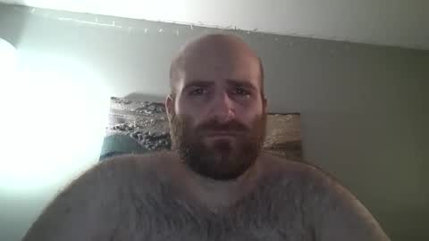 Snapshot of hairiestbear chatting on December 2024 07:43:02 PM Hairiest Bear online show from December 2024 07:43:02 PM