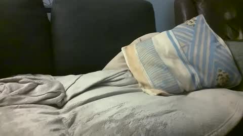 Snapshot of hairiestbear chatting on February 2025 08:16:01 AM Hairiest Bear online show from February 2025 08:16:01 AM