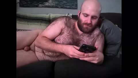 Hairiest Bear online show from February 2026 02:10:01 PM