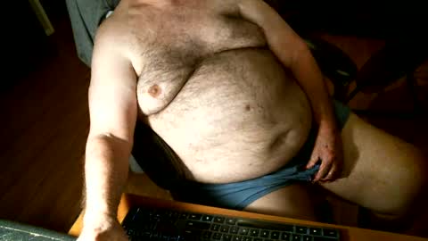 hairybear813 online show from December 2024 03:00:02 AM