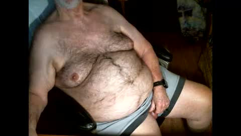hairybear813 online show from November 2025 03:43:02 AM