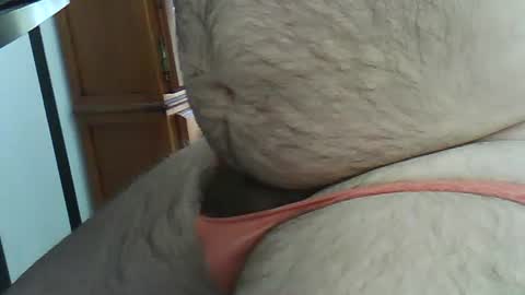 Snapshot of hairybeary1 chatting on May 2026 03:08:01 PM hairybeary1 online show from May 2026 03:08:01 PM