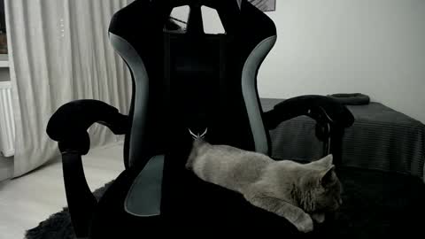 Adam online show from January 2025 05:05:01 AM