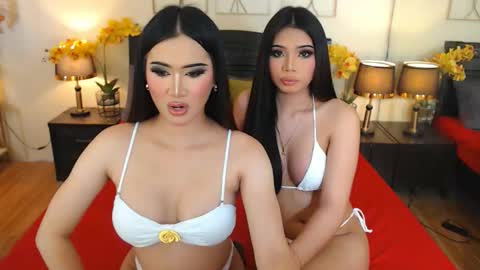 Snapshot of haisleypalmer chatting on October 2025 07:17:01 AM YOUR SIDECHIC HAILEY online show from October 2025 07:17:01 AM