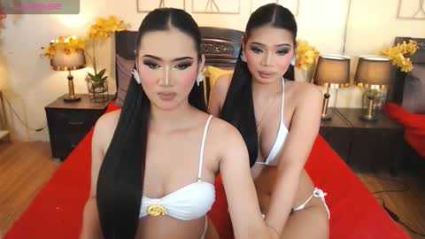 Snapshot of haisleypalmer chatting on October 2025 08:23:02 AM YOUR SIDECHIC HAILEY online show from October 2025 08:23:02 AM